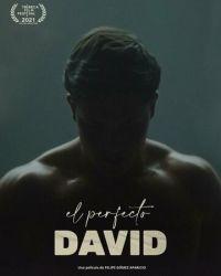Идеальный Давид (2021) смотреть онлайн